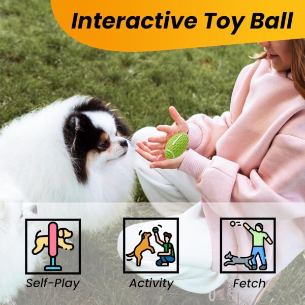 71Lo9X6pERL._SL1500_.jpg PremiumAV Extreme Chew Tire Dog Toy – Durable Training Aid & Interactive Chew Wheel for Medium & Large Dogs, Tough Bite-Resistant Rubber Toy for Aggressive Chewers