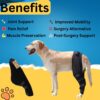 71LoMhxRgTL._SL1500_.jpg Western Era Dog Disability Leg Support Brace | Rear & Front Leg Injury Aid for Arthritis, Mobility, Sprain Recovery | Wrap for Disabled Dogs with Padding | Helps Walking, Balance, Joint Relief (Left)