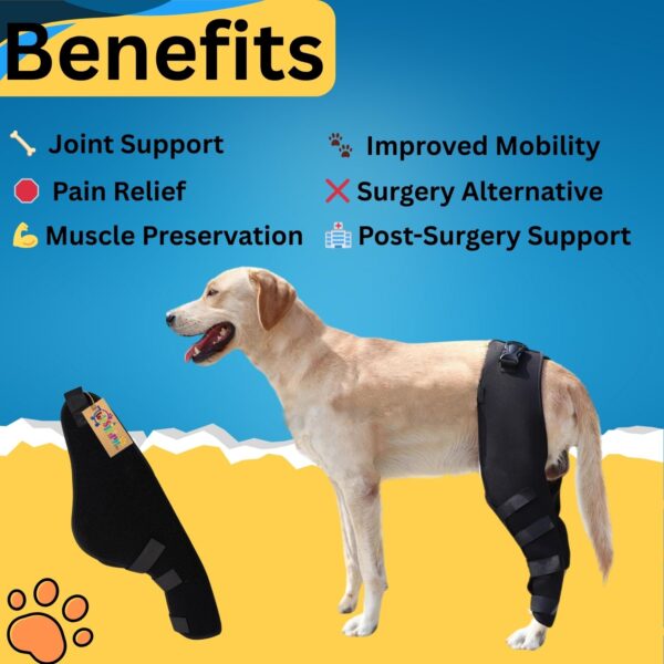 71LoMhxRgTL._SL1500_.jpg Western Era Dog Disability Leg Support Brace | Rear & Front Leg Injury Aid for Arthritis, Mobility, Sprain Recovery | Wrap for Disabled Dogs with Padding | Helps Walking, Balance, Joint Relief (Left)