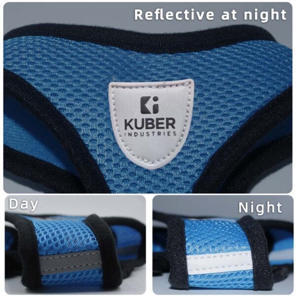 Kuber Industries Dog Chest Harness with Nylon Leash I No Pull, Soft Padded and Breathable Dog Vest I Adjustable, Reflective I Large, Blue
