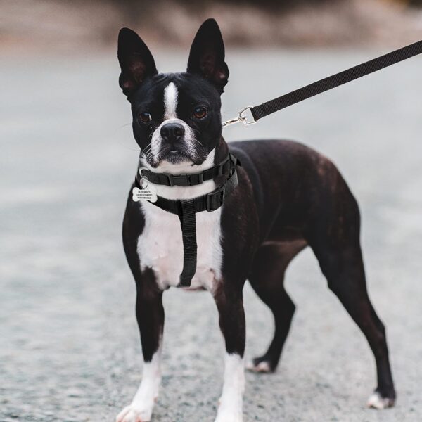 71Lr9ao3kOL._SL1500_.jpg No Pull Dog Harness - Step in Dog Harness and Leash for Small Medium Large Dog - Escape Proof Adjustable Soft Leash Collar Set for Walking Training Hiking Outdoor, 15 Cm, 15 Cm
