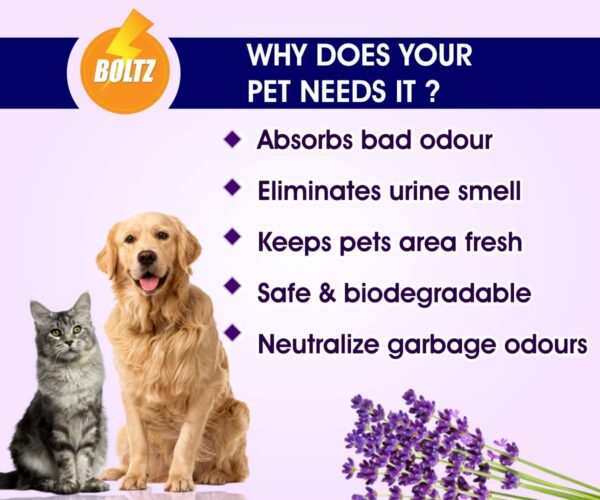 71Lv-DRPoeL._SL1200_.jpg Boltz Odour and Urine Smell Remover Pet Area Freshener for Dog and Cat with Lavender Fragrance (200 ml), 1 Piece