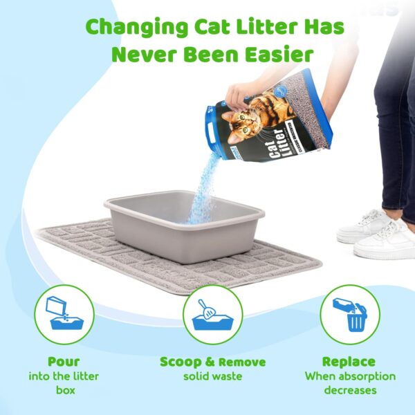 Cat Litter 5kg Green Apple | Fast-Clumping Bentonite Cat Litter with Odour Lock, Low Dust & Gentle on Paws | Fresh & Fruity Litter Box Everyday