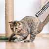 71M8fHAr5tL._SL1500_.jpg Cat Chasing Toy, USB Laser Pointer for Chasing Interactive Cat Toy 3 in 1 Laser Pen Checking Cat Skin/White Light Illumination