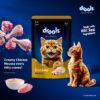 Drools Adult Cat Wet Mousse 80gm | Chicken | Rich in Protein, Promotes Hydration & Easy to Digest | Grain Free, No Artificial Flavours | Packed with Essential Vitamins & Antioxidants