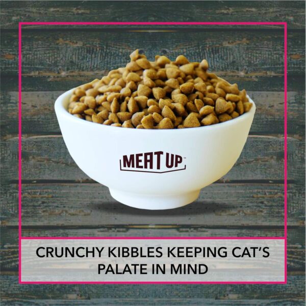 Meat Up Adult Dry Cat Food, 1.2 Kg (Buy 1 Get 1 Free ), Total 2.4 kg Pack