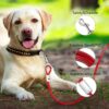 71MvQQlFaGL._SL1500_.jpg 10-FEET (5MM) Heavy-Duty Tie Out Cable Leash for Dogs Up to 35kg, Long Dog Cable Leash with PVC Coating, Dogs Chains for Outside and Indoor Durable Dog Runner Tether Line for Yard (Red)