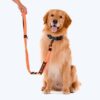 71Mx-Lt9qQL._SL1500_.jpg Heads Up For Tails Shock Absorption Dog Leash - Orange
