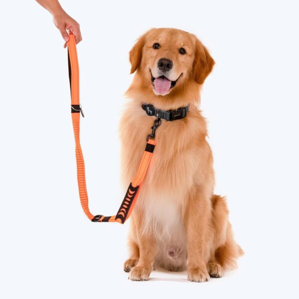 71Mx-Lt9qQL._SL1500_.jpg Heads Up For Tails Shock Absorption Dog Leash - Orange