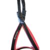 71N5FqU5OqL._SL1500_.jpg Choke Free and Pulling Free Padded Easy Control Adjustable Chest Belt Harness for Small Dogs of All Breeds and All Life Stages(Black, 0.75 inch)