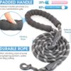 Tail 5 Feet Dog Leash with Comfortable Padded Handle and Highly Reflective Threads for Small Medium and Large Dogs (5FT-1/2'', Black)