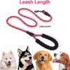 Petology Dog Leash 4FT Long, 1cm Thick Reflective Heavy Duty Rope with Anti-Slip Padded Handle for Small Dogs