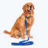 HUFT Basics Dog Leash - Cobalt Blue - S