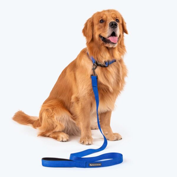 HUFT Basics Dog Leash - Cobalt Blue - S