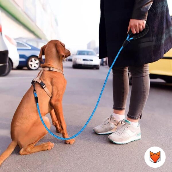 71NSak3GNrL._SL1500_.jpg Wooflix Heavy Duty Nylon Dog Leash | Anti Slip Padded Handle Long Dog Leash | Highly Reflective Leash for Dogs | Dog Rope for Medium & Large Dogs | Dog Training Leash | (Blue, 5 Feet Long)