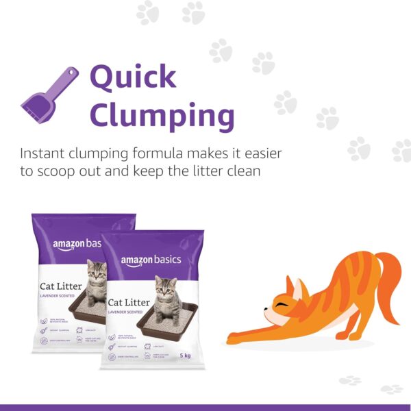 Amazon Basics Scoopable Smart White Bentonite Scented Cat Litter | 10 Kg | 5 Kg X 2 Packs | Organic | Bentonite From Turkey | Dust-Free | Lavender Fragrance