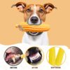 Western Era Long Corn Squeaky Toy -Interactive Plush Toy, Unleash Fun in Your Furry Friend, Buddy for Dogs & Cats, Perfect for Playtime, Chew Time, Cuddle Time, Long-Lasting for Your Beloved Pet