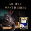 71NZifmKfL._SL1500_.jpg Sheba Fine Premium Adult (1+ Years) Wet Cat Food, Chicken Premium Loaf, 70 g Pouch (Pack of 28), High-moisture gravy cat food for healthy hydration