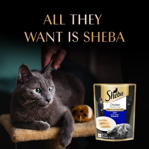 71NZifmKfL._SL1500_.jpg Sheba Fine Premium Adult (1+ Years) Wet Cat Food, Chicken Premium Loaf, 70 g Pouch (Pack of 28), High-moisture gravy cat food for healthy hydration