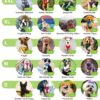 Classic Dog Harness Innovative Mesh No Pull No Choke Design Soft Double Padded Breathable Vest for Eco-Friendly Easy Control Walking Quick Release for Puppies Toy Breeds & Medium Dogs (Med, Purple)