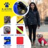 A+a Pets' Luxurious Rain & Wind' Winter Jacket for Dogs with 21" Length | Recommended Non Slip Jacket Style for Rain & Snow | Full Body Coverage with Leash Opening | Warm & Comfortable (Yellow 2XL)