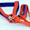 DOGISTA PET Products Dog MUKHMAL Leash Harness Set 1.50, Extra DOGISTA PET Products Dog MUKHMAL Leash Harness Set 1.50, Extra Large