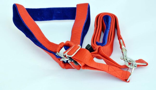 DOGISTA PET Products Dog MUKHMAL Leash Harness Set 1.50, Extra DOGISTA PET Products Dog MUKHMAL Leash Harness Set 1.50, Extra Large