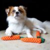 Dog Trust Durable Orange Carrot Knotted Cotton Rope Toys for Teeth Cleaning and Chewing, Small & Medium Dog/Cat/Puppy (Multicolour).