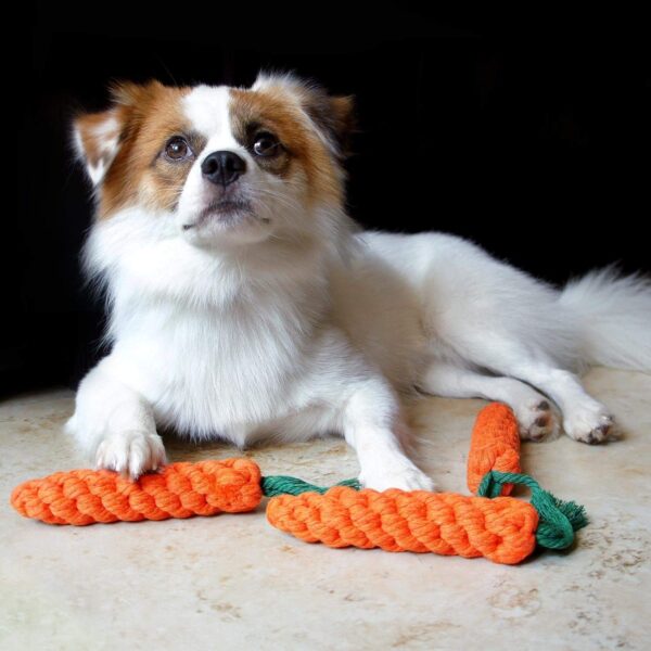 Dog Trust Durable Orange Carrot Knotted Cotton Rope Toys for Teeth Cleaning and Chewing, Small & Medium Dog/Cat/Puppy (Multicolour).