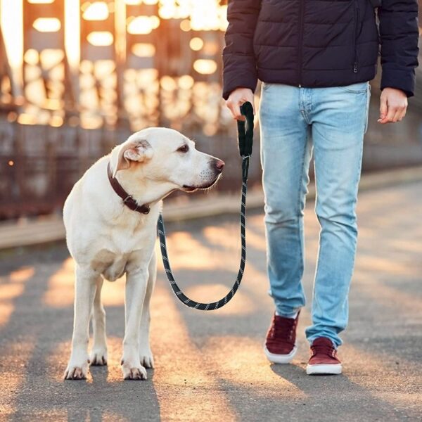 71OrgEvB7qL._SL1500_.jpg Neville Premium and Strong 5 feet Long Dog Collar Leash for Large Dogs with Padded Handle and Highly Reflective Straps Dogs Perfect for Harness and Neck Collar Belts (15 to 80 kgs) Black