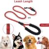 Petology Dog Leash 5FT Long, ½ Inch Thick Reflective Heavy Duty Rope with Anti-Slip Padded Handle for Small & Medium Dogs (Red, 5 Feet - Small & Medium Dogs)