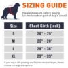 Dog Harness Chest Body Belt for Medium Dogs with Easy Control Handle, Breathable Soft Padding, Night Reflective, No Choke Design, Safety Lock Buckle (Sky Blue, M)