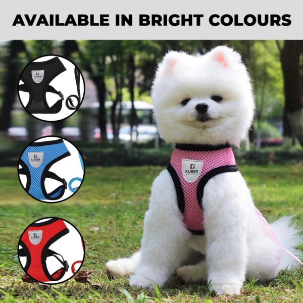 Kuber Industries 1 to 3 Months Small Dog/Cat Chest Harness with Nylon Leash I No Pull, Soft Padded and Breathable Pet Vest I Adjustable, Reflective I Easy Control Pet Chest Belt I (XX-Small,Red)