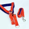 71PJ8lS-xnL._SL1500_.jpg DOGISTA PET Products Dog MUKHMAL Leash Harness Set 1.50, Extra Large