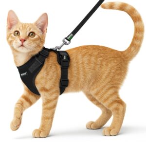 Buraq No Pull Cat Harness with Leash Escape Proof, Aesthetic Buraq No Pull Cat Harness with Leash Escape Proof, Aesthetic Design, Ultra-Light Weight, Air Mesh Fabric, Adjustable Cat Leash with Harness (XS - Black)