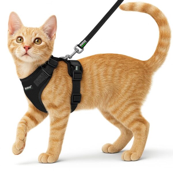 Buraq No Pull Cat Harness with Leash Escape Proof, Aesthetic Buraq No Pull Cat Harness with Leash Escape Proof, Aesthetic Design, Ultra-Light Weight, Air Mesh Fabric, Adjustable Cat Leash with Harness (XS - Black)