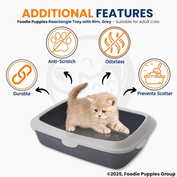 Foodie Puppies Rectangle Cat Litter Tray (Large (Grey) - 59 x 47 x 19 cm) with Rim, Reduces Odor, Perfect Starter for Toilet Training Your Kitten and Puppies