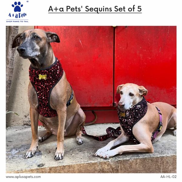 A+a Pets' Sequins Set of 5- Harness, Leash, Collar, Bow & Poo Bag Pouch for Dogs and Cats (2XL, Red)