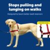 PetSafe Easy Walk Dog Harness, Red/Black, Large, EWH-HC-L-RED