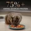 Sheba Kitten and Adult, Irresistible Dry Cat Food, Salmon Flavour, 1.5 kg, Contains 41 Essential Nutrients, Complete & Balanced Nutrition
