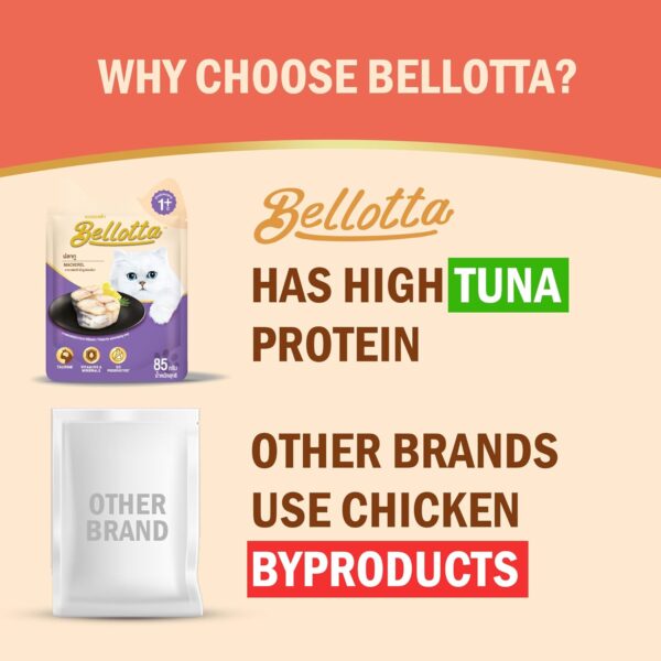 Bellotta Premium Wet Food for Cats and Kittens, Mackerel, 85 g (Pack of 16) Sold by DogsNCats