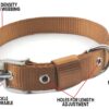 RvPaws Combo Nylon Dog Belt - 1 Inch Collar with Heavy Dog Chain 63 Inch Lengthy Dog Collar Chain Adjustable (Collar Neck Size 16-20 Inch) (Golden)