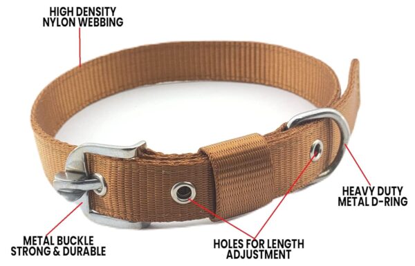 RvPaws Combo Nylon Dog Belt - 1 Inch Collar with Heavy Dog Chain 63 Inch Lengthy Dog Collar Chain Adjustable (Collar Neck Size 16-20 Inch) (Golden)