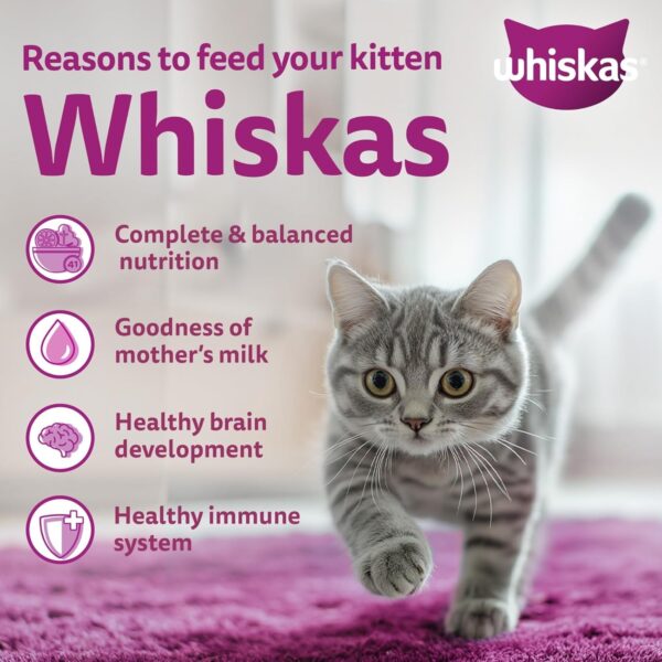 Whiskas Junior Mother Cat & Kitten (2-12 Months) Dry Cat Food, Mackerel Fish Flavour, 1.1 kg, Contains 41 Essential Nutrients, Complete & Balanced Nutrition for Mother Cats & Kittens