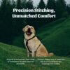 PetWale Dog H Harness | Cotton Material | Adjustable & Durable | Skin & Fur Friendly | Ultimate Comfort for Long Hours | 3 Point Adjustments | Strong Material & Secured Fit | Navy Blue - Small