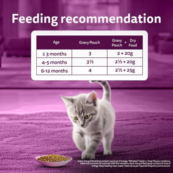 71RfhlJJFL._SL1500_.jpg Whiskas Junior Kitten (2-12 Months) Wet Cat Food, Tuna in Jelly, 80 g (Pack of 14), Hydrating Food Made With Real Fish, 100% Complete & Balanced Nutrition for Kittens
