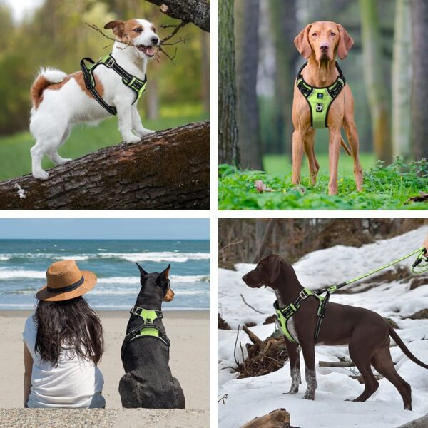 Dog Harness No Pull Harness 3M Reflective Dog Belt for Small Medium Large Dogs Easy Control Dog Chest Belt - No More Pulling or Choking (Small, Neon Green)