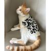 71R8FMdf8L._SL1500_.jpg Lulala Turtleneck Winter Sweater for Small Dogs – Warm Knitwear for Boys & Girls | Soft Pet Clothes with Leash Hole | Cozy Autumn/Winter Dog Apparel