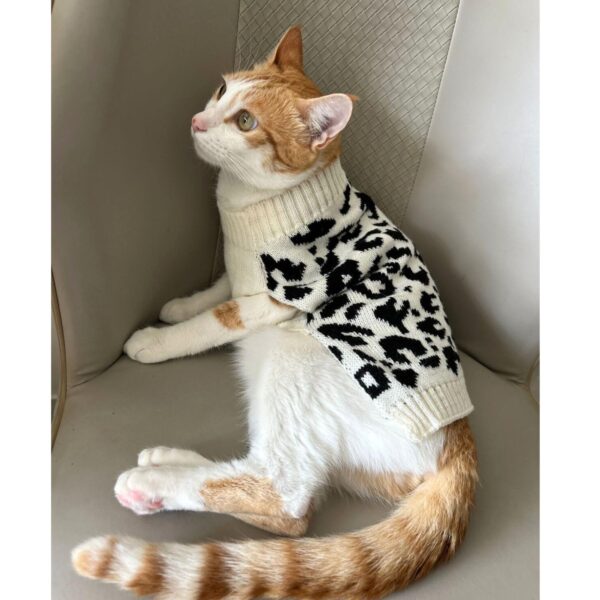 71R8FMdf8L._SL1500_.jpg Lulala Turtleneck Winter Sweater for Small Dogs – Warm Knitwear for Boys & Girls | Soft Pet Clothes with Leash Hole | Cozy Autumn/Winter Dog Apparel