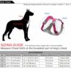 Front Range No-Pull Dog Harness – Adjustable Reflective Pet Vest with Easy Control Handle for Outdoor Adventures Orange